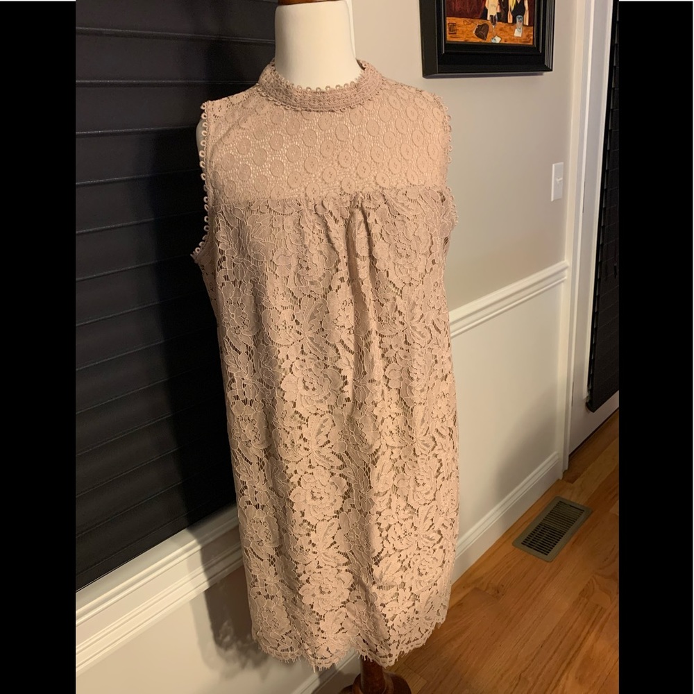 Tan Lace Sheath Dress (NWT) - XL